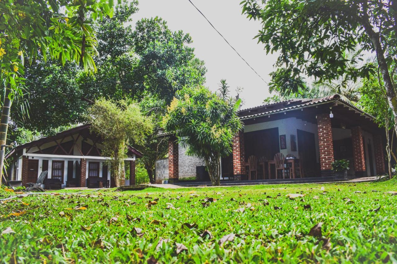 Green Cottage Anuradhapura Exterior photo