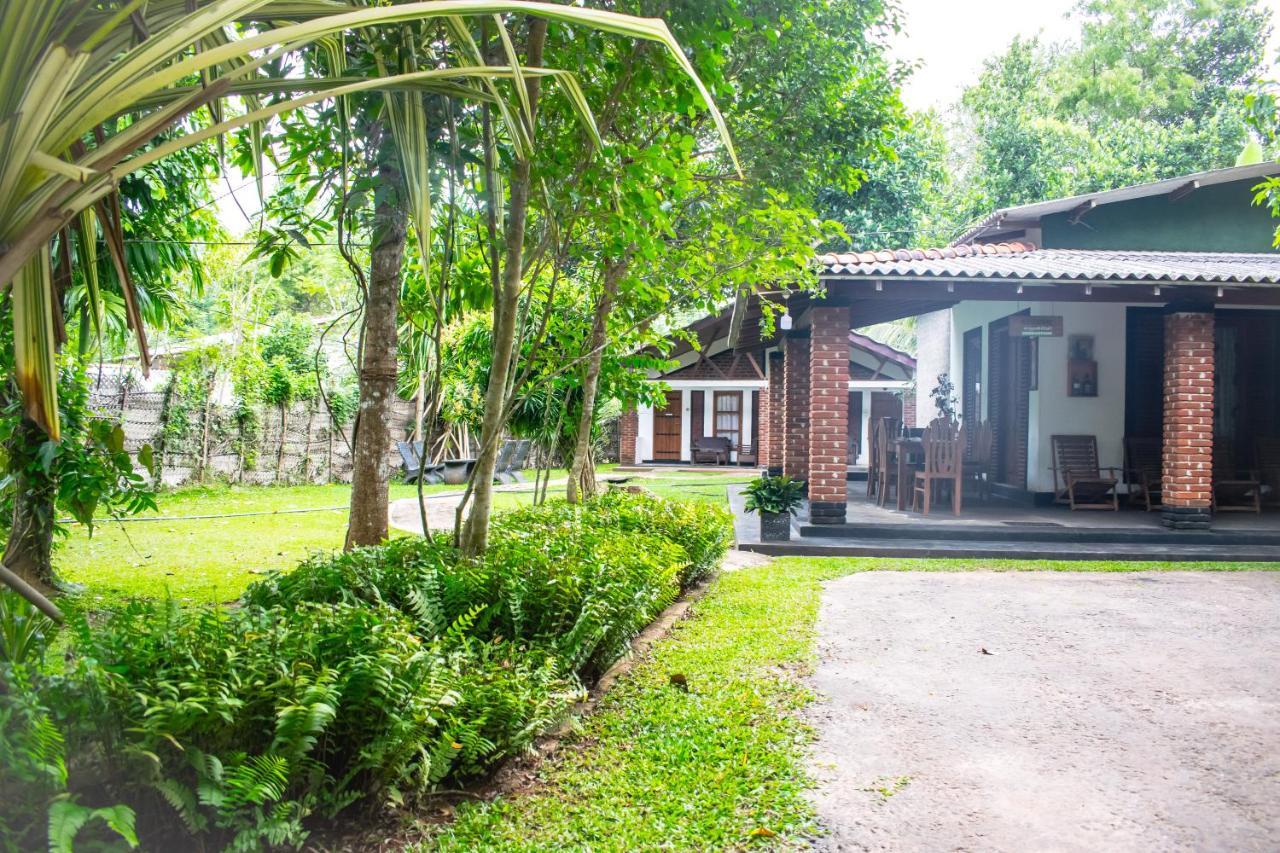 Green Cottage Anuradhapura Exterior photo
