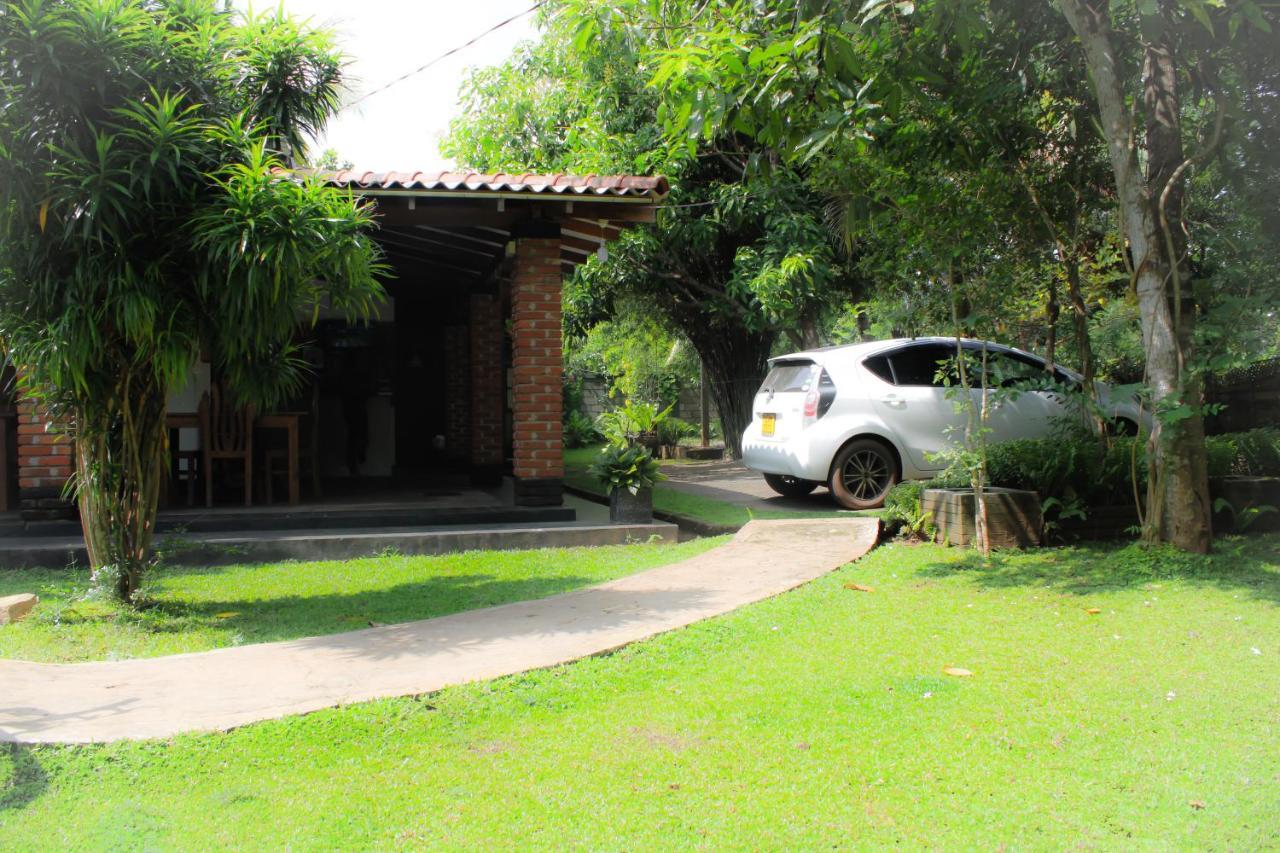Green Cottage Anuradhapura Exterior photo